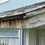 Rotted wood fascia and peeling paint on a coastal home's roofline, showing salt air damage to exterior paint.