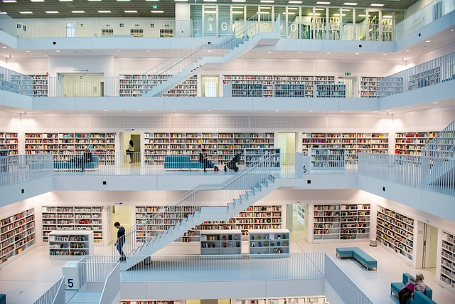 This bright, multi-story library is a perfect example of large-scale commercial interior painting, where a crisp white paint is used to create a clean and modern aesthetic.